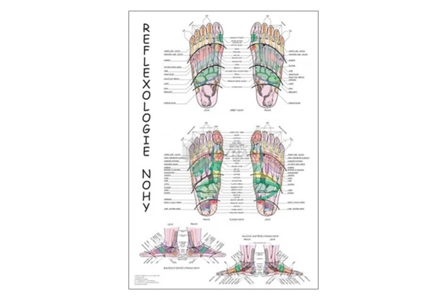 Reflexologie nohy 48x70cm