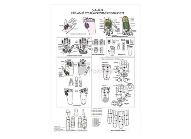 Su-Jok základní systém prvotní podobnosti 48x70cm