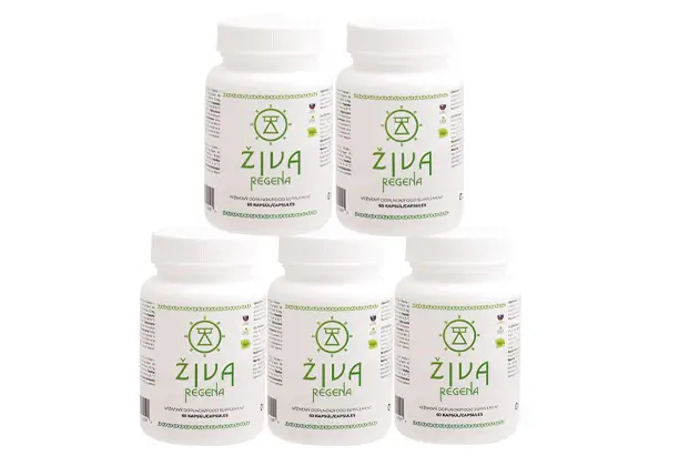 ŽIVA regena 5ks VÝHODNÉ BALENÍ